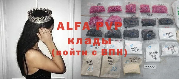 мет Алексин