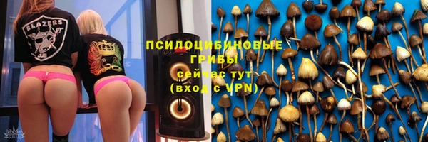 ешки Алзамай