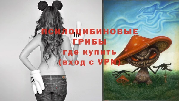 ешки Алзамай
